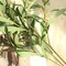 NOLAST 4pcs Faux Greenery Branches Stems Fake Olive Branches Artificial Plants for Vase Home Party Decoration (Green)